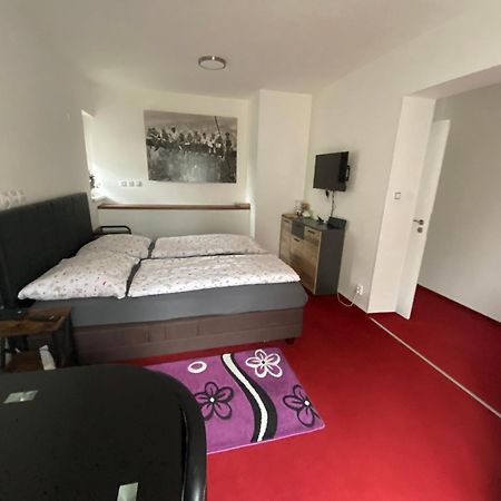 Homestay U Hanky Zdiby Esterno foto