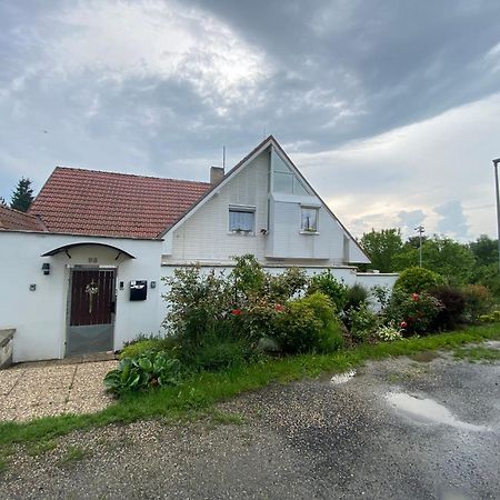 Homestay U Hanky Zdiby Esterno foto