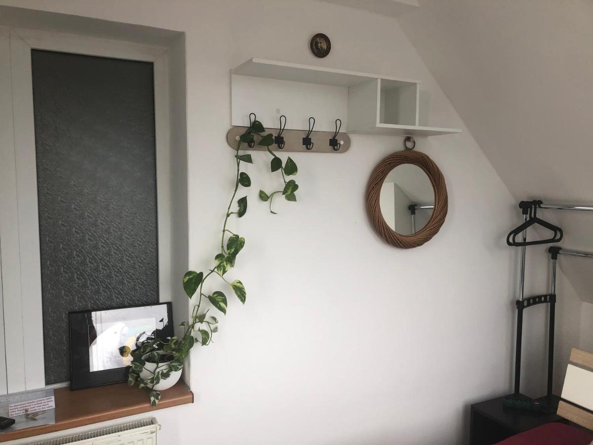 Homestay U Hanky Zdiby Esterno foto